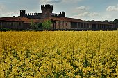 il castello di colleoni